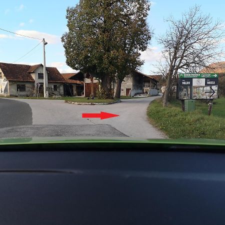 Guesthouse Braslovce - Celje Eksteriør billede