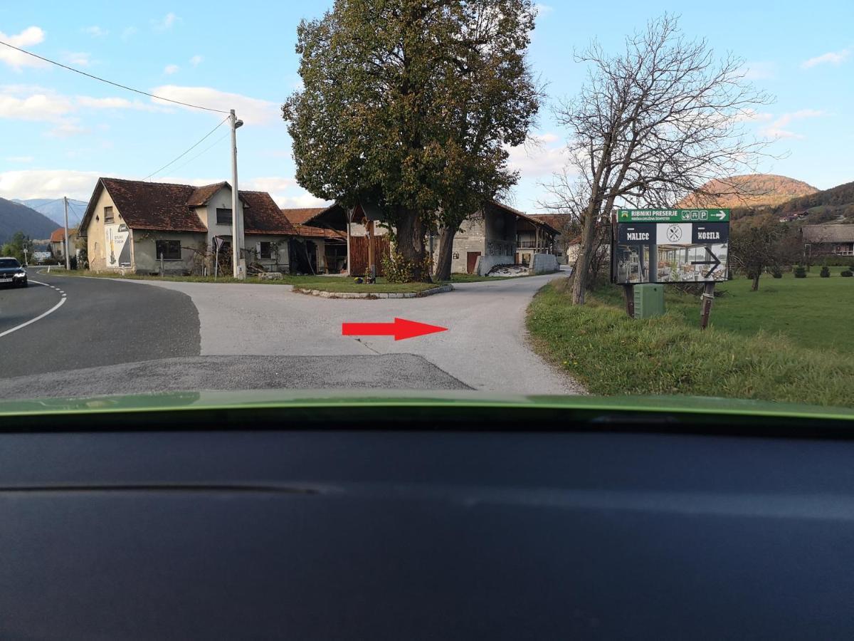 Guesthouse Braslovce - Celje Eksteriør billede